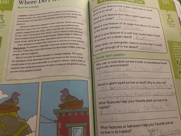 Summer Brain Questの3rd Grade to 4th Grade版106ページは長文が掲載されていました。