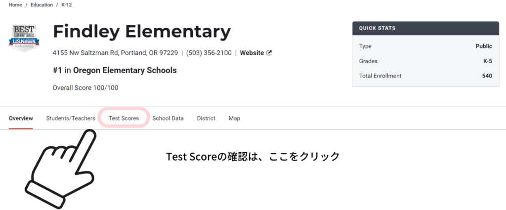 Test scoreはページ上部のTest scoreタブから確認できます。