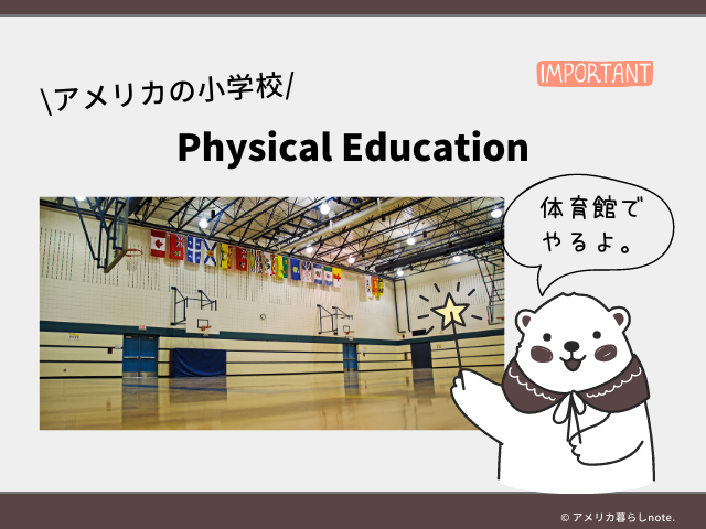 体育の授業は体育館で行います。