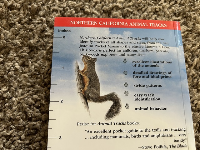Animal Trackの裏表紙の写真。