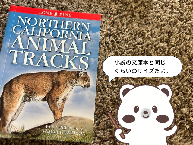 Animal Tracksの写真